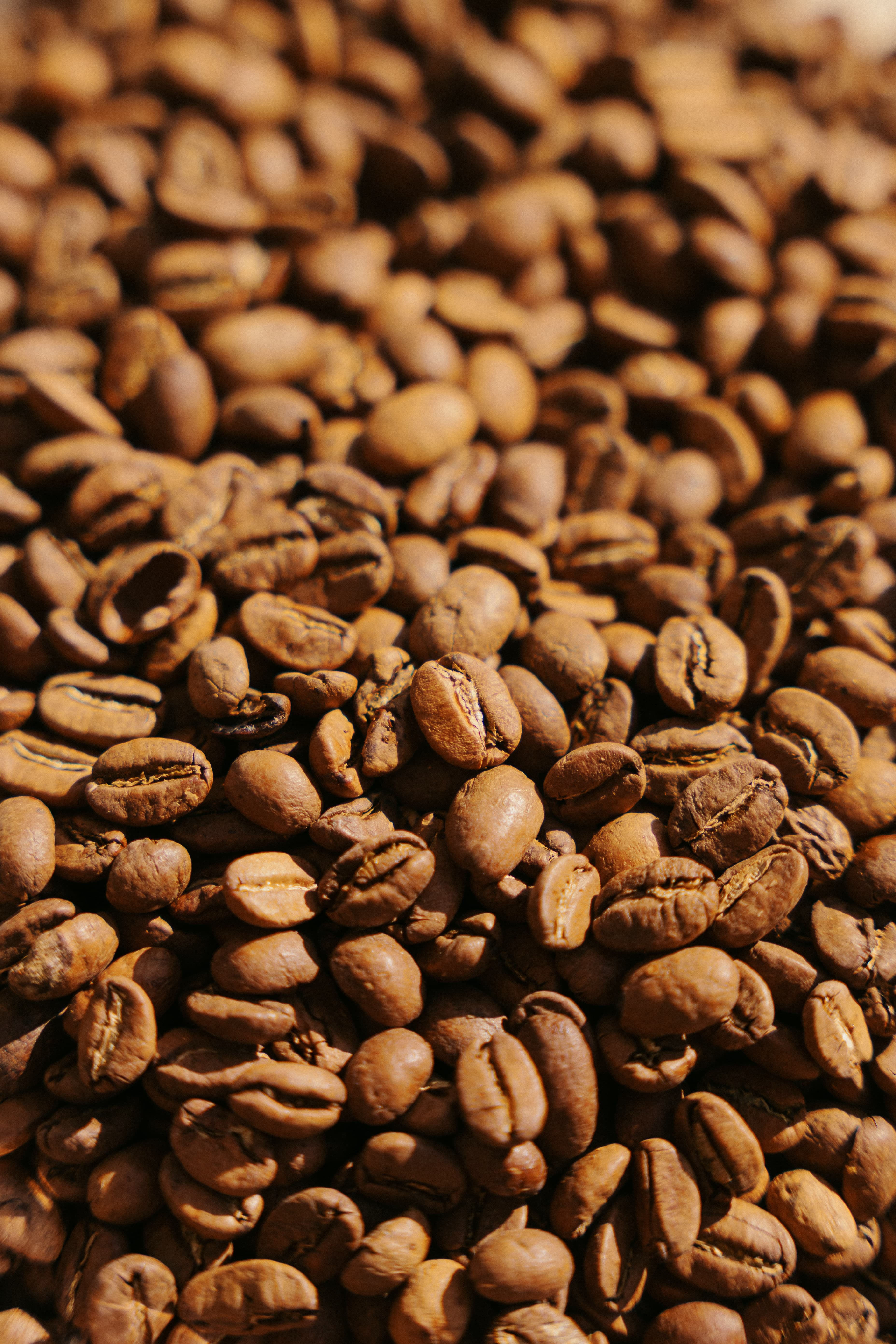 Grains de café torréfiés